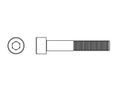 Insexskruv 5 x 25 12.9, 10-pack